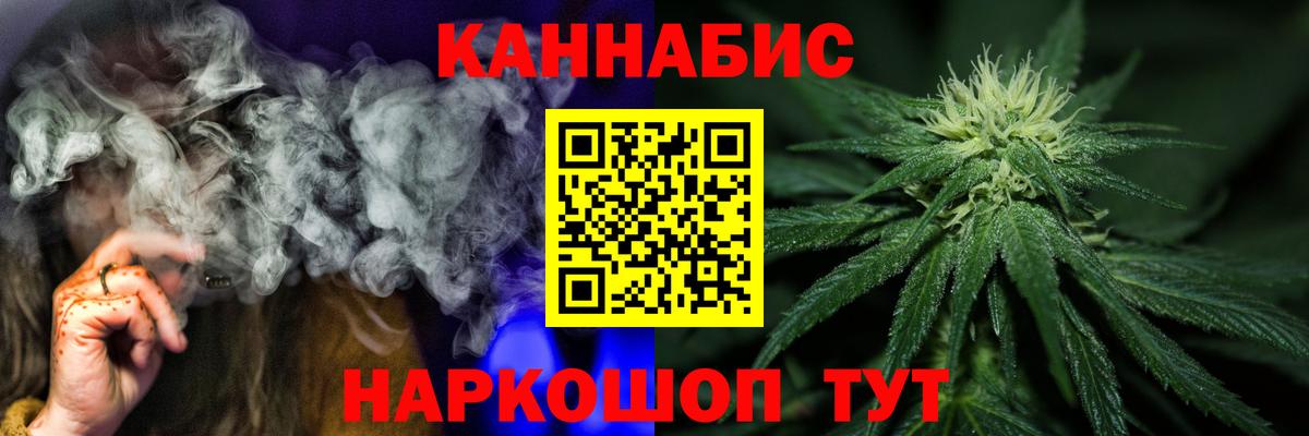 Каннабис сатива Новотроицк